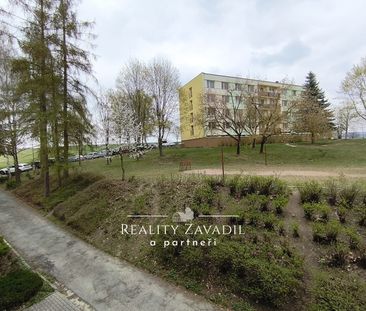 Pronájem bytu 2+1 55 m² - Fotografie 4