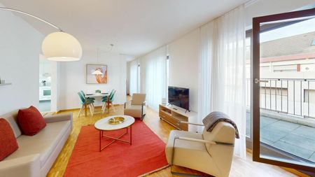 Unique Serviced Living @ Messe Basel Penthouse - Foto 5