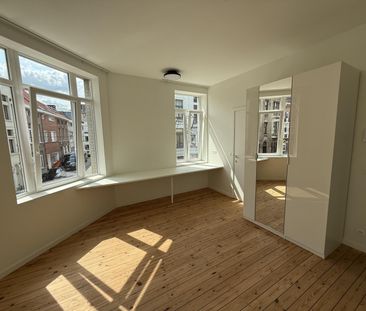 — Papegaaistraat - Photo 1