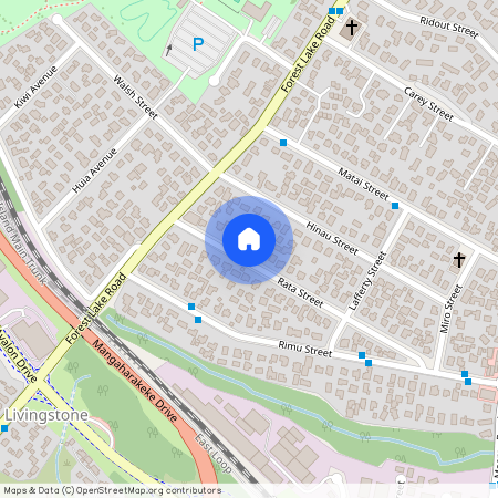 34 Rata Street, Maeroa, Hamilton City