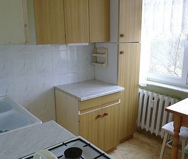 Zgierz, Bolesława Leśmiana - Zdjęcie 3