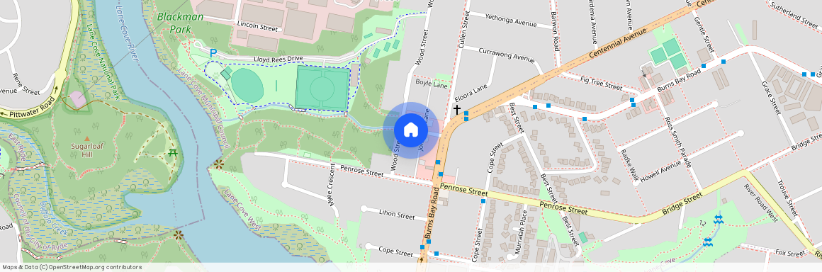 15 Wood St, NSW 2066, Lane Cove West