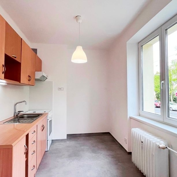 Pronájem bytu 1+1 v osobním vlastnictví 40 m², Plzeň - Photo 1