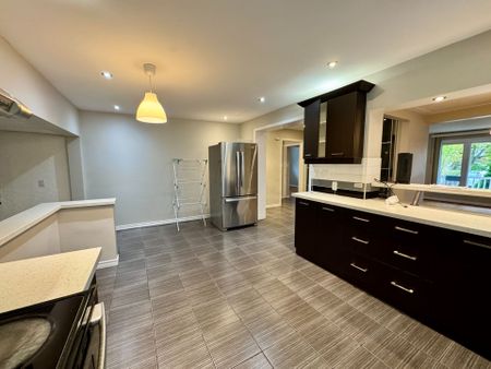 For Lease - 30 Ivordale Crescent Unit# Main, Toronto, Ontario - Photo 5