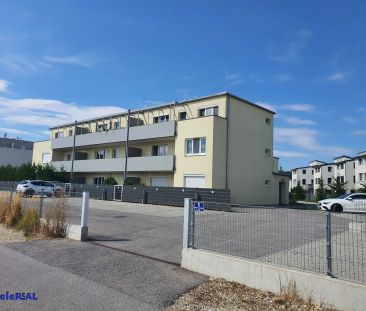 ERSTBEZUG-GENOSSENSCHAFTSWOHNUNG in Strasshof - Top 23 - Foto 3