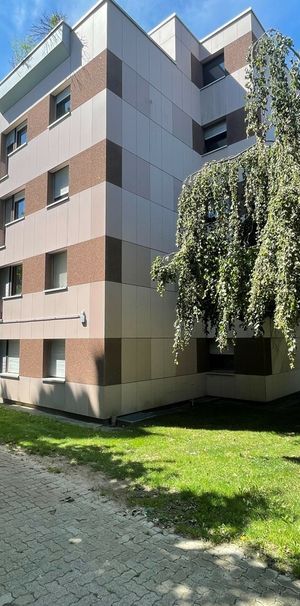 Appartement de 1.0 pièce au rez - Photo 1