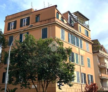 Trilocale in affitto - Photo 1