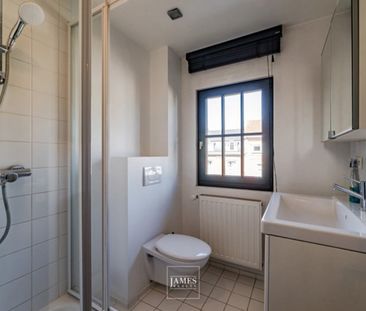 Tout savoir sur cette maison à Ixelles, à Ixelles - Photo 6