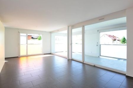 Living on the sunny side of Brugg - Photo 2