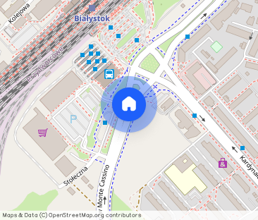 Oferujemy do wynajęcia 3 pokojowe mieszkanie w centrum miasto - Photo 1