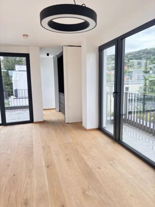 Erstbezug Einfamilienhaus zu vermieten mit Blick auf Weinberge - Foto 1