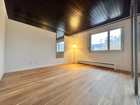 Charmante 7-Zimmer-Villa zur Miete in Büren an der Aare - Photo 3
