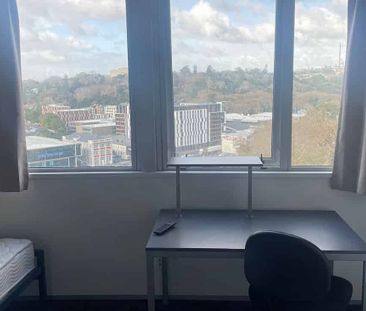 Cosy Studio Apartment - Photo 3