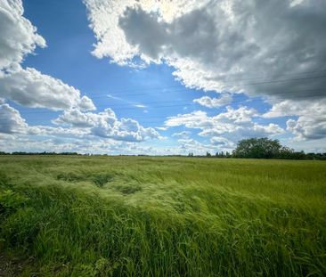 2 bedroom barn conversion to rent - Photo 6