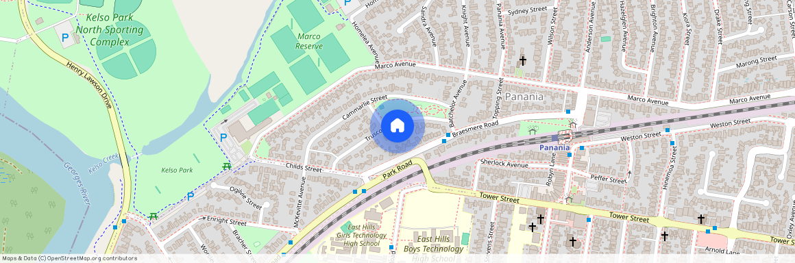 15 Truscott Street Panania