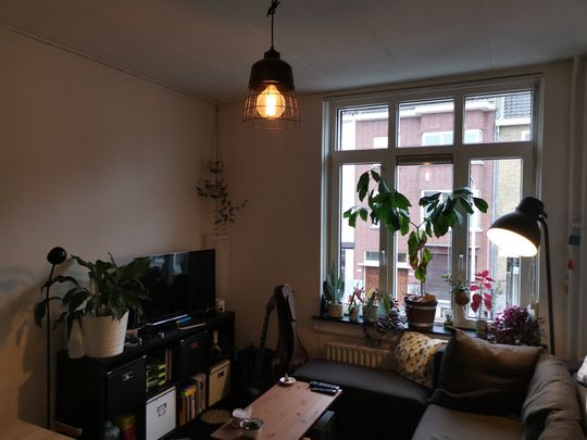 Te huur: Appartement Frankenstraat 189 B in Maastricht - Foto 1
