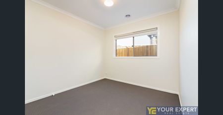 Park Facing Family Home - Photo 4