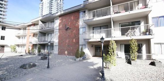 West Coquitlam | Renovated 1 Bedroom at Westview Manor - Photo 2