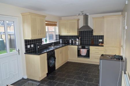 Wentworth Green, Portadown, BT62 3WG - Photo 4