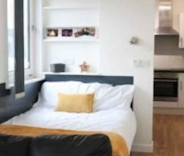 Studio Gold Plus - Photo 2