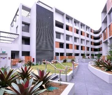 309/1 Wattle Crescent, Pyrmont NSW 2009 - Apartment For Rent | Domain - Photo 6