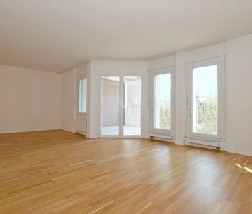 "Fernsicht auf Bergkette!" - Foto 2