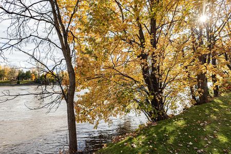 Domaine Bellerive Apartments - Photo 3