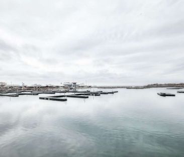 For Lease - 35 Bastion Street Unit# 604, Toronto, Ontario - Photo 3