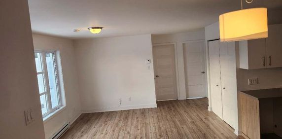 Appartement de 2 chambres et 1 salle de bain - Photo 2