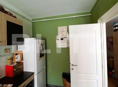 Apartament 1 camera, 48mp, etaj intermediar, petfriendly, zona Stejarului - Fotografie 4