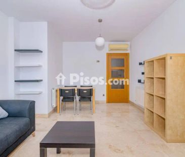 Piso en alquiler en los Periodistas-Parque Almunia-Albayda - Foto 1