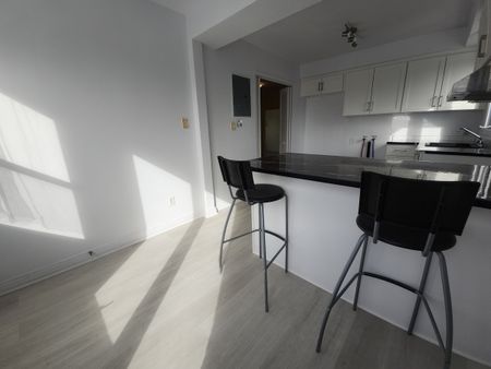 842 Rue Prieur Est - Photo 2