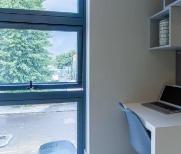 Gold Studio - Photo 3