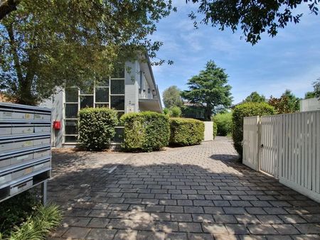 10/2 Maroona Road, Carnegie VIC 3163 - Apartment For Rent | Domain - Photo 4
