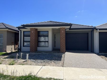 149 Carnival Boulevard, Berwick, VIC 3806 - Photo 5