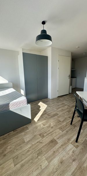 Location Appartement 1 pièce 20m² STRASBOURG 67000 - Photo 1