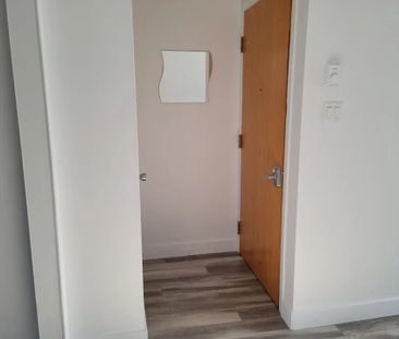 56 Rue Lucien-Brault (Gatineau) Super Appartement 4 1/2 - Photo 2
