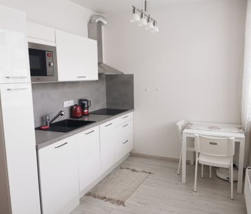 Pronájem bytu 1+kk a garsoniéry 24 m², Nad Přehradou, Brno Bystrc - Photo 2
