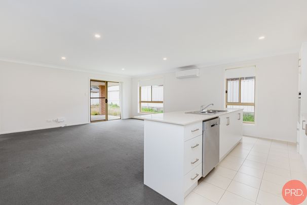 14 Vulture Street, Ellalong NSW 2325 - House For Rent | Domain - Photo 1