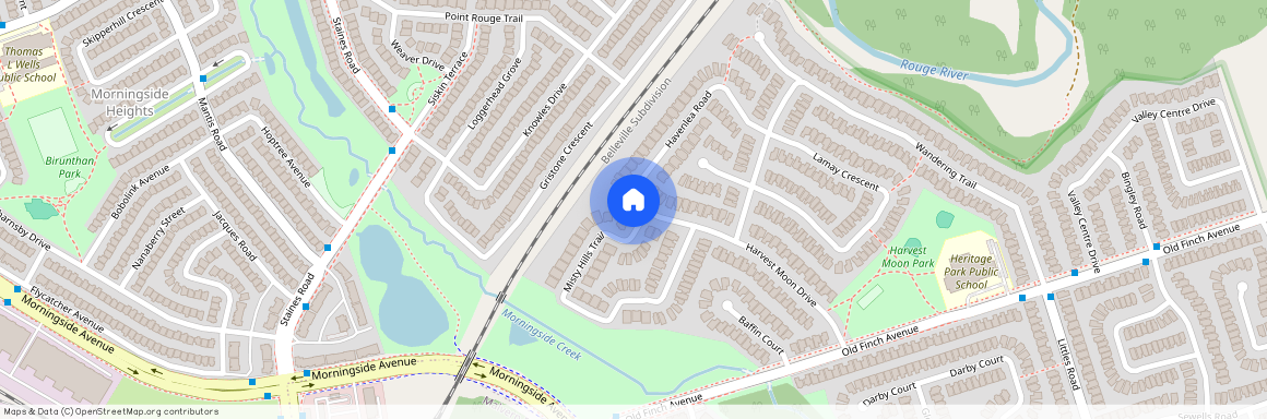 111 Misty Hills Trail Unit# BSMT, Toronto