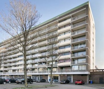 Apartment Zoetermeer - Bagijnenwaard - Photo 2