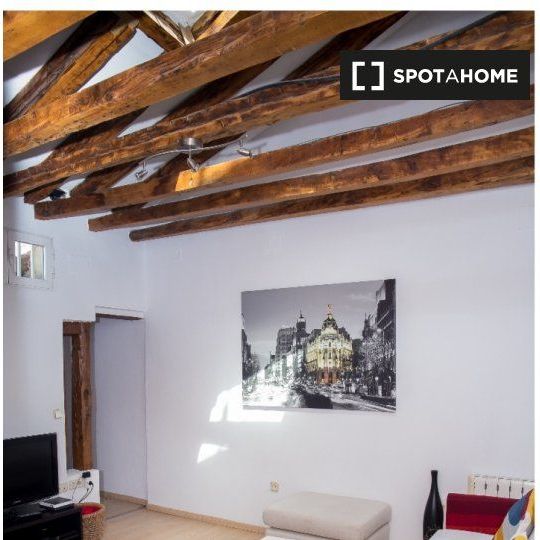 Piso de alquiler en Cortes - Huertas - Photo 1