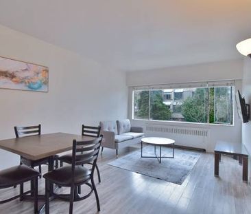 AVAILABLE February 1st- Pet Friendly Furnished 1 Bedroom @ 1540 Haro - Photo 2