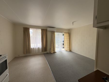 Central Spacious One-bedroom unit - Victoria - Photo 2