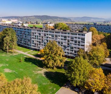 Great single apartment in a central location in Birr - Photo 4