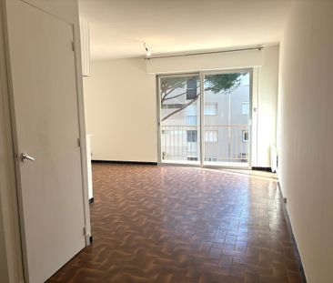 Location Appartement 1 pièce 30m² LE LAVANDOU 83980 - Photo 1