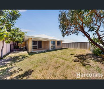 6 Cobbler Way, Two Rocks, WA 6037 - Photo 1