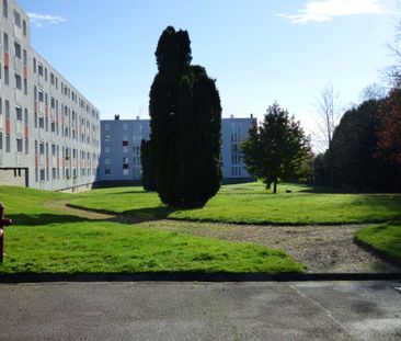 Location Appartement 3 pièces 55m² BOIS GUILLAUME 76230 - Photo 6