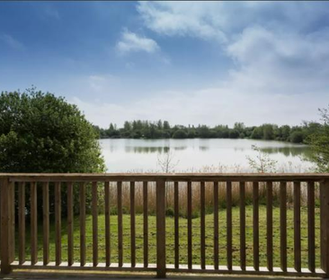 1 bedroom in a house share to rent - Photo 6