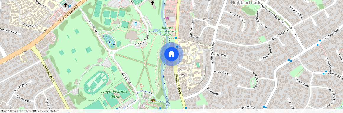 63A Aviemore Drive, Manukau City, Highland Park